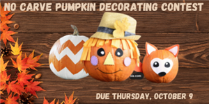 no carve pumpkin